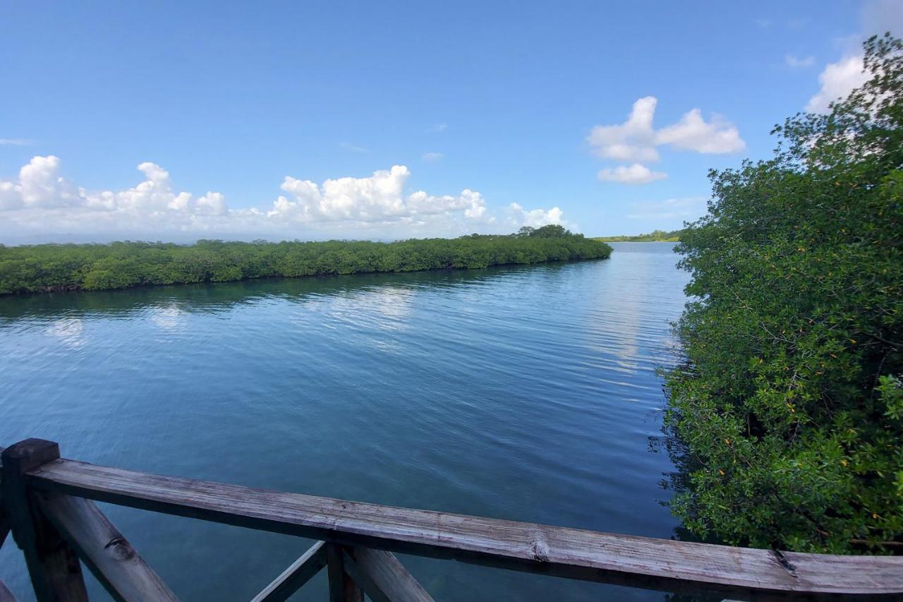 The Sunsetter Bed & Breakfast Bocas del Toro Esterno foto