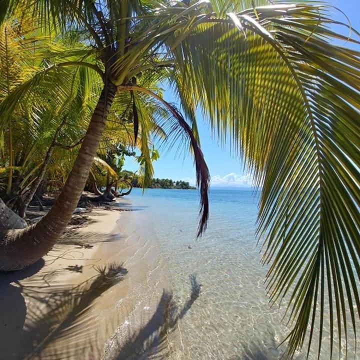The Sunsetter Bed & Breakfast Bocas del Toro Esterno foto