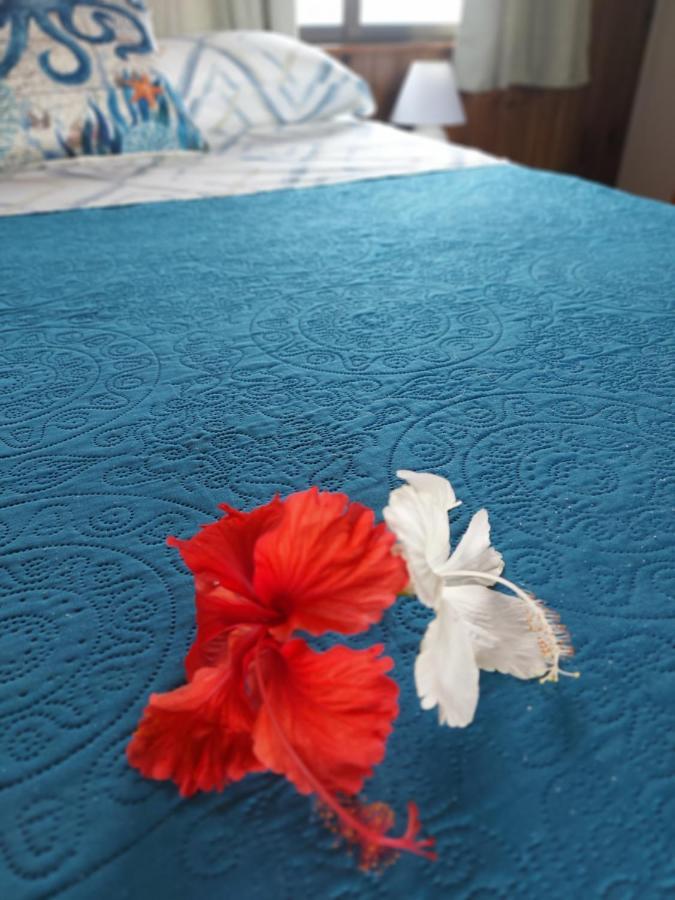 The Sunsetter Bed & Breakfast Bocas del Toro Esterno foto