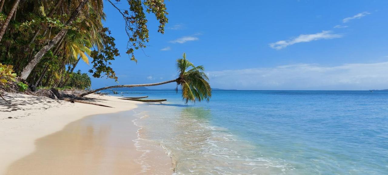 The Sunsetter Bed & Breakfast Bocas del Toro Esterno foto